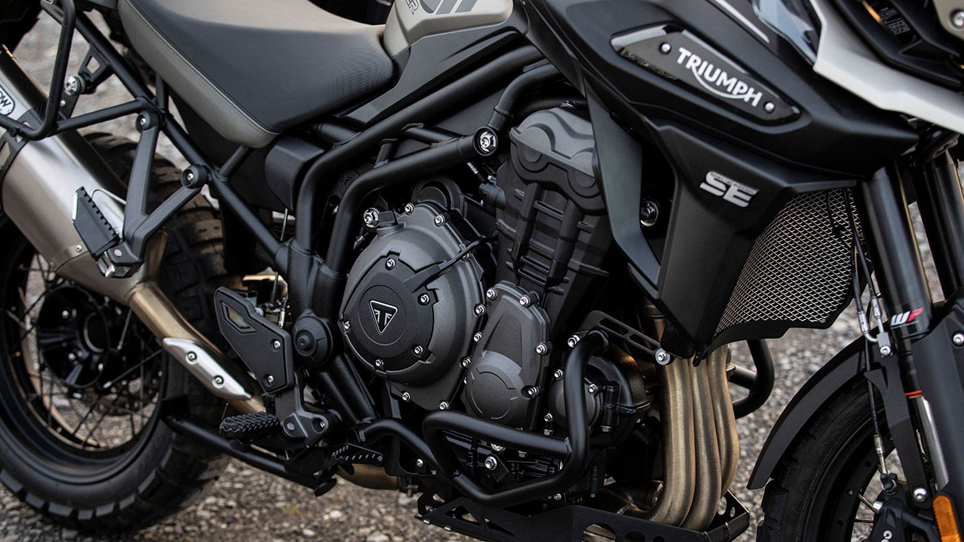 triumph tiger desert edition